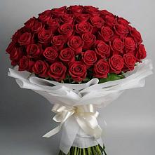 Букет 101 Красная роза Блэк Мэджик в Нижнее Мячково