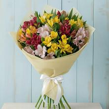 Букет цветов из:  Альстромерии в Нижнее Мячково