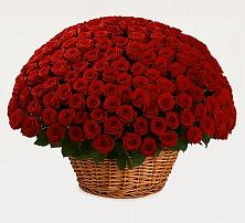 Премиум букет из: Розы в Нижнее Мячково